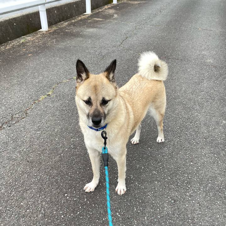 0df1851e 5e27 4c0c a084 e2cb2af2b2f3 1686223907249