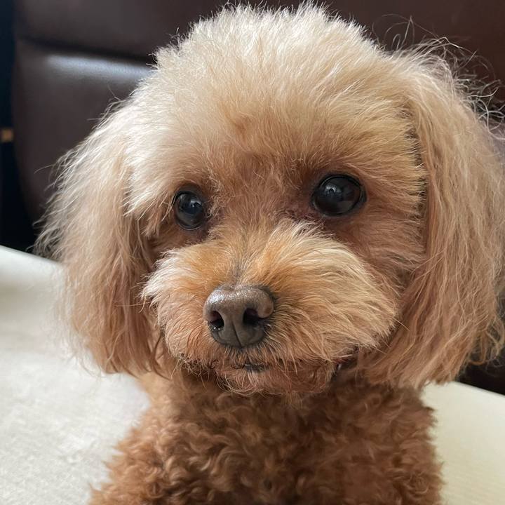 0df213b6 7653 4c1b bd7f 45f01685155b 1747142174798