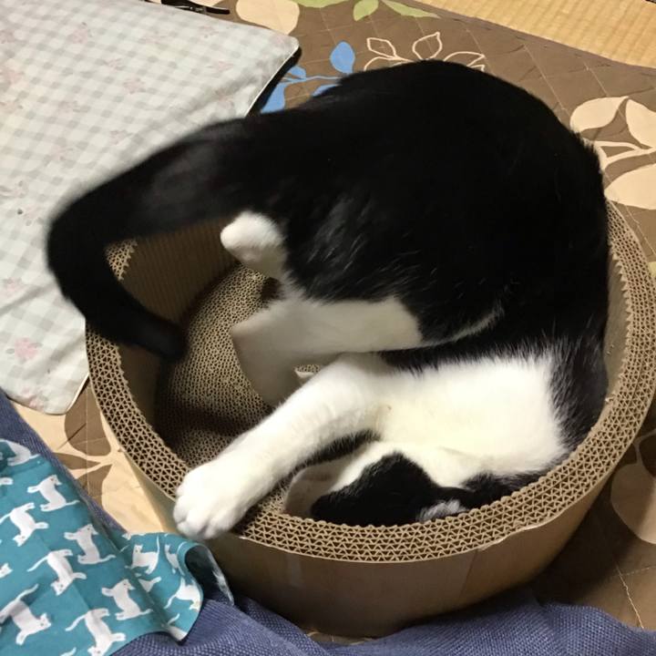 0df21b33 96dc 4811 9d5b c2714827064e 1743233347100