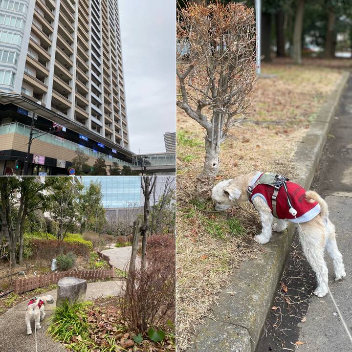 0df23bb1 b9ec 42a0 b63b db96ac9ca5e3 1673772222869