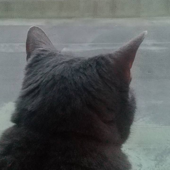 0df2b055 a27c 4933 bb30 01cd2b8640d7 1655632714150