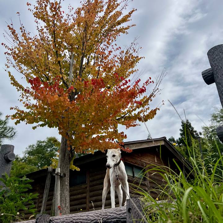 0df2b800 6e0f 4d8c 961a c371bf52280b 1760257430890