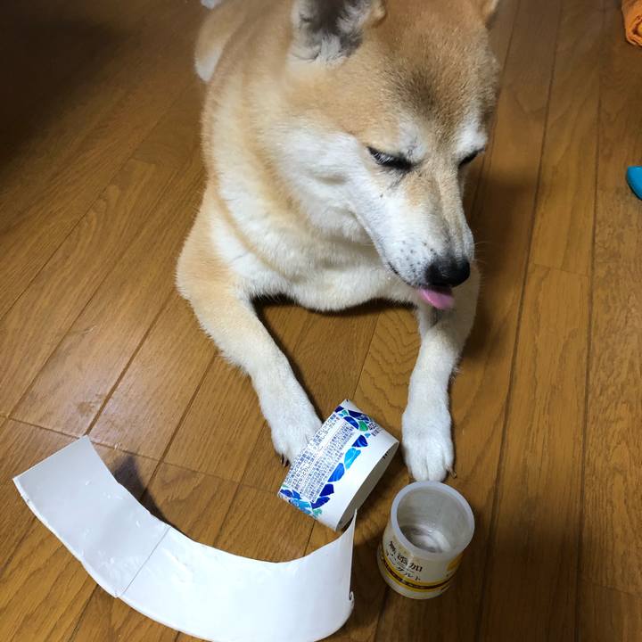 0df2bf99 e773 4ba5 8d16 8330958cbd38 1569851085516