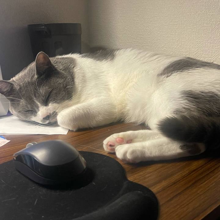 0df2c2a4 6ed4 4ac3 badd b248b6d58b07 1645461415261