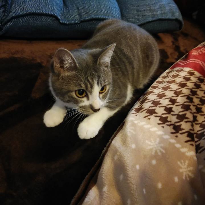 0df2eb54 81cf 489b 879b 56d98fdcb5bc 1571718016305