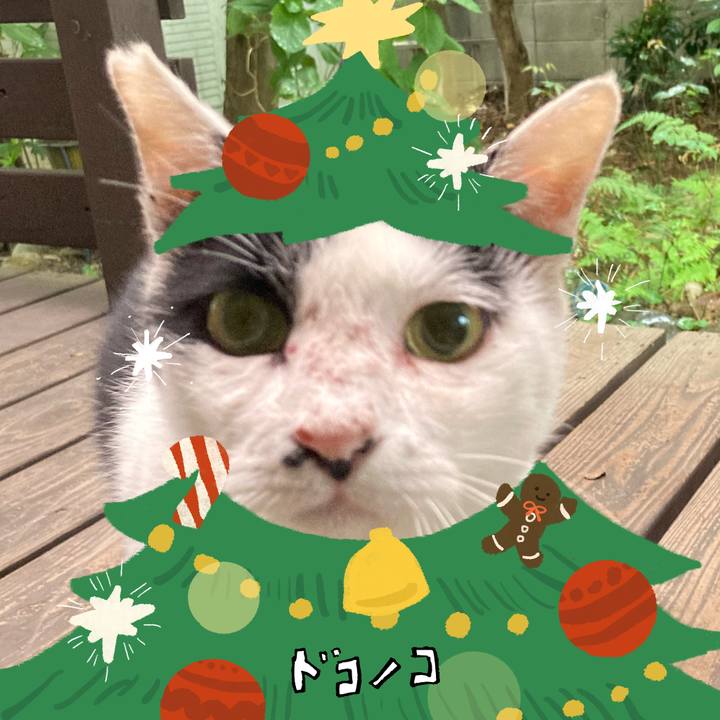 0df310d7 2959 4db3 8bbf b8a1401e2713 1761195425532