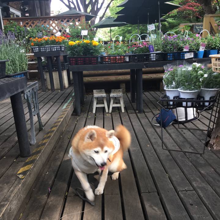 0df34086 7eee 4e30 8a30 b949a0e836e8 1559698220671