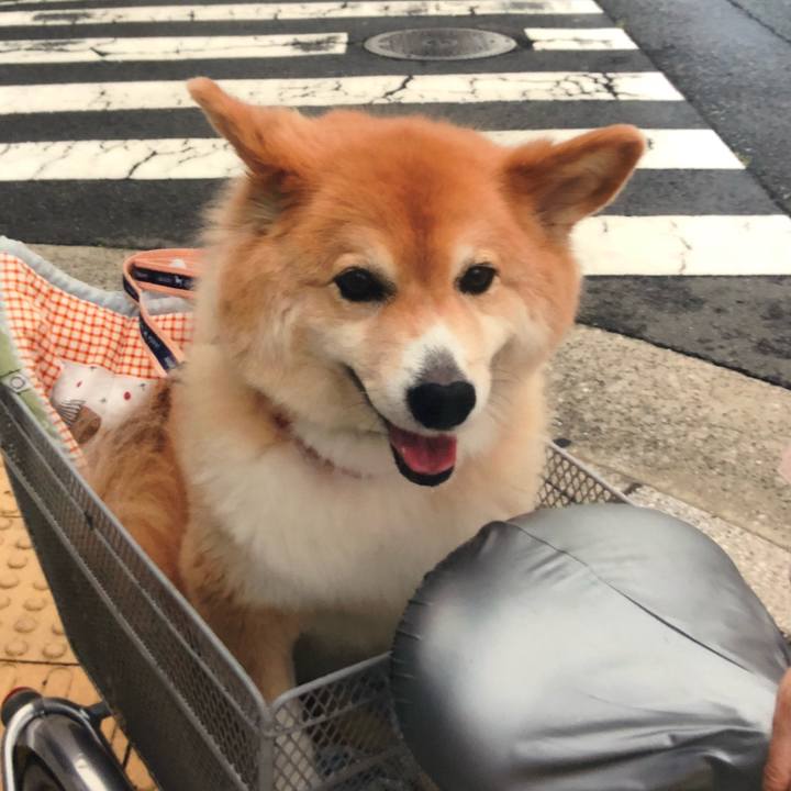 0df39808 fe75 41b2 a11e 950669a0a8c4 1534426918802