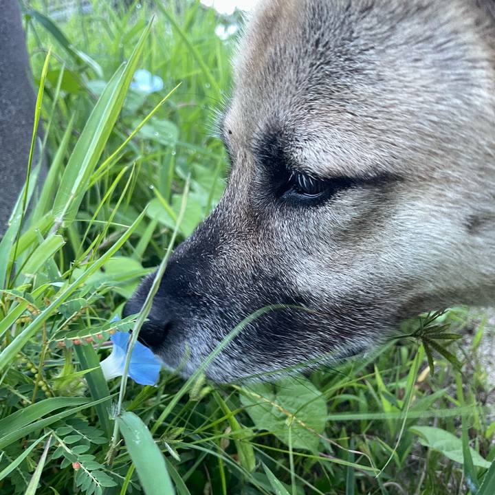 0df3c2bd 76f7 40af af14 72573488e1bd 1662035113879