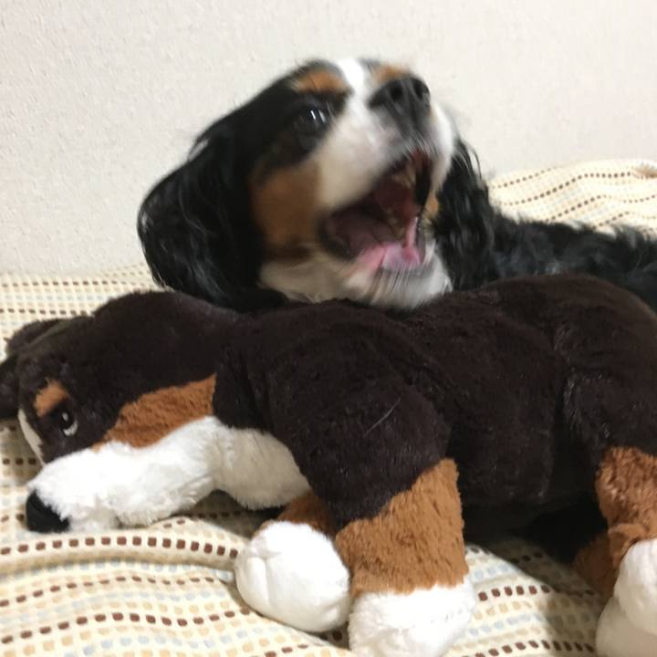 0df3d53e b7e7 4a3c b8cc 5679d65a432c 1525302904845