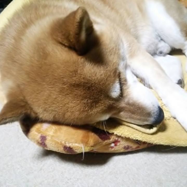 0df405c2 e3bc 44f0 aabf 06a17d5a73c0 1558535310794