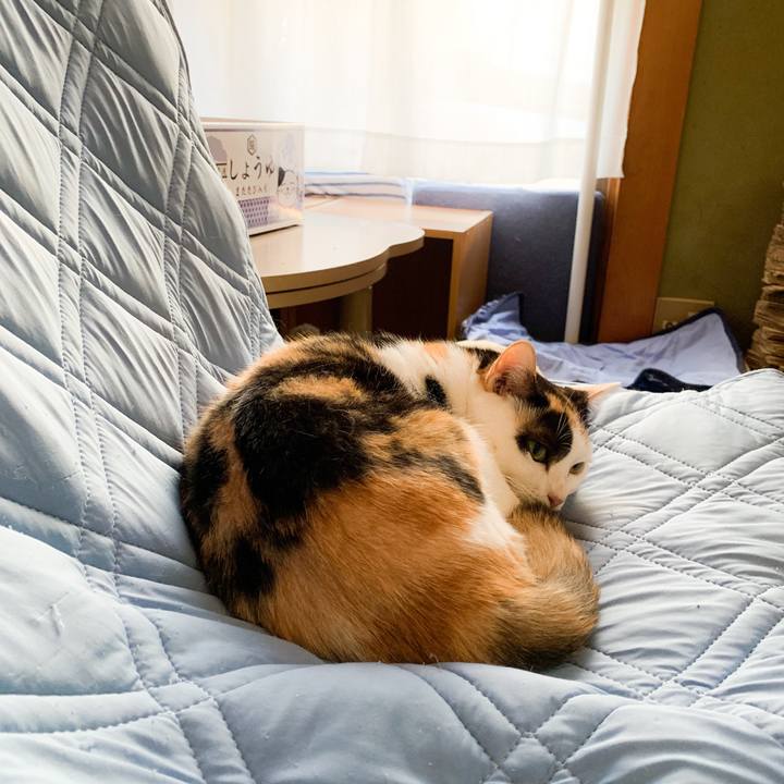 0df411b8 6d58 4388 a861 1300fe4108bd 1570411144191