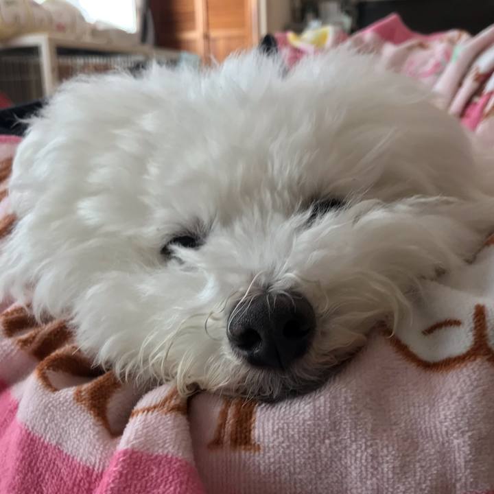 0df413ab ac7f 4e30 8256 33f7fe83b5c7 1576282697706