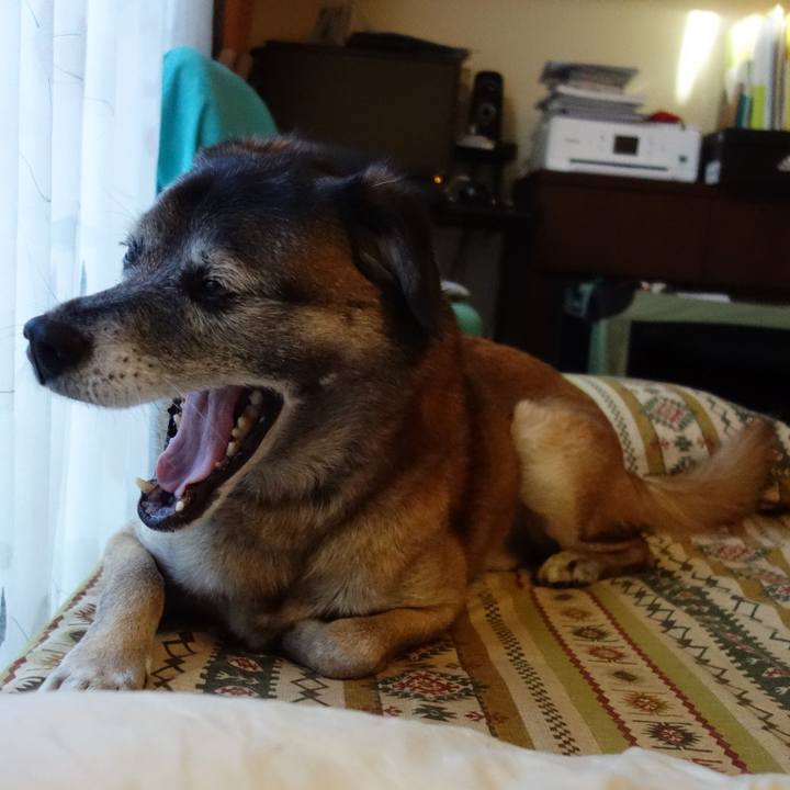 0df42038 b6a9 488d ad35 ee771d31fc1e 1622508752270