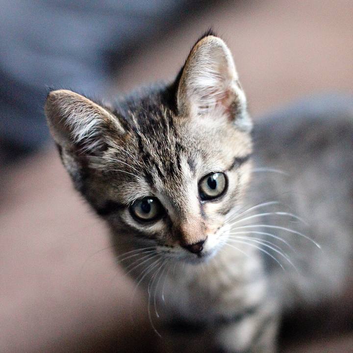 0df43608 e8dc 4750 ba35 dfd9d180d29c 1561331625726