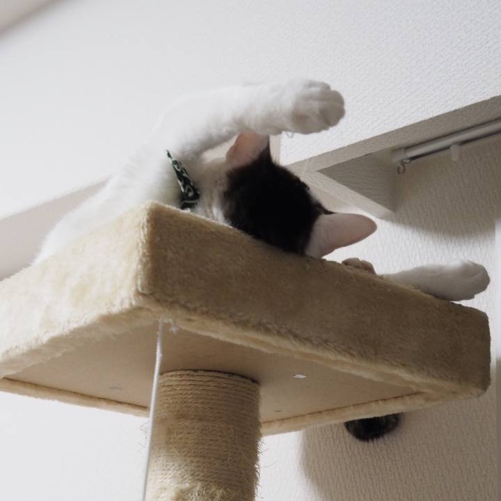 0df45f9f 9f2b 4ab7 ac5f e3c18ed7c420 1524486044374