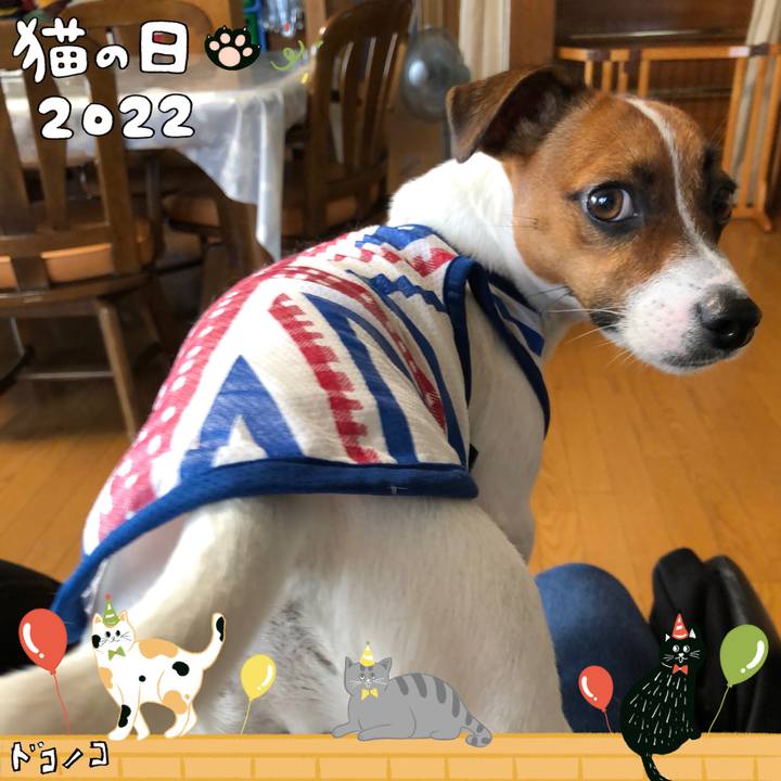 0df47d8b 54d3 4862 ab1f 8c1fd60cf51f 1645510461408