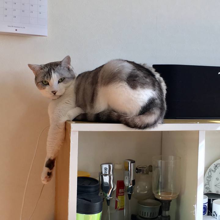 0df47fb7 13d9 4f5b 88a2 66ff0f717699 1517798483117