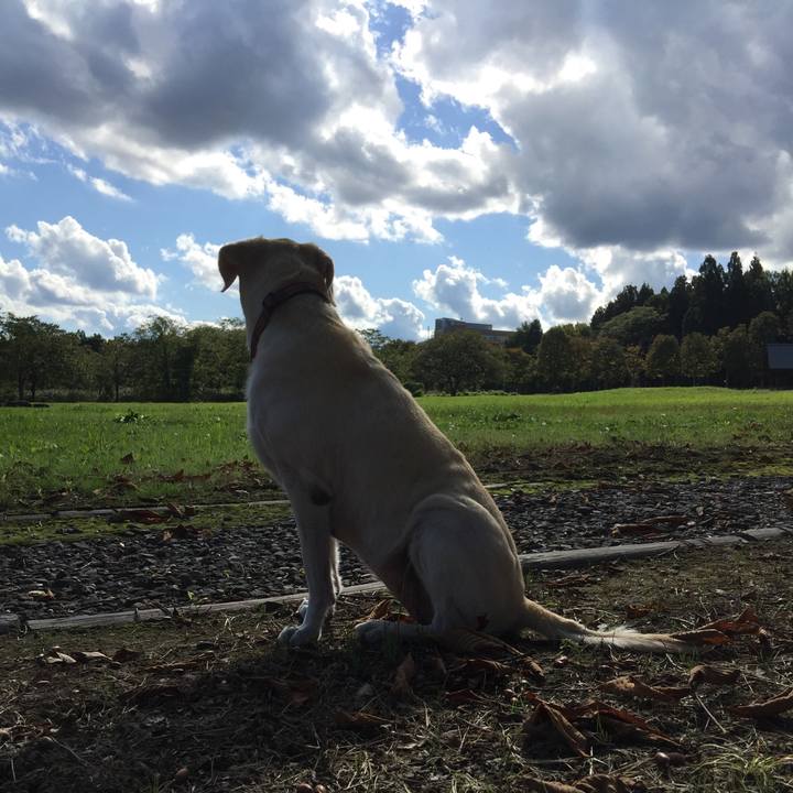 0df491c5 0e70 4e46 9e29 58eff09a39d3 1547340700306