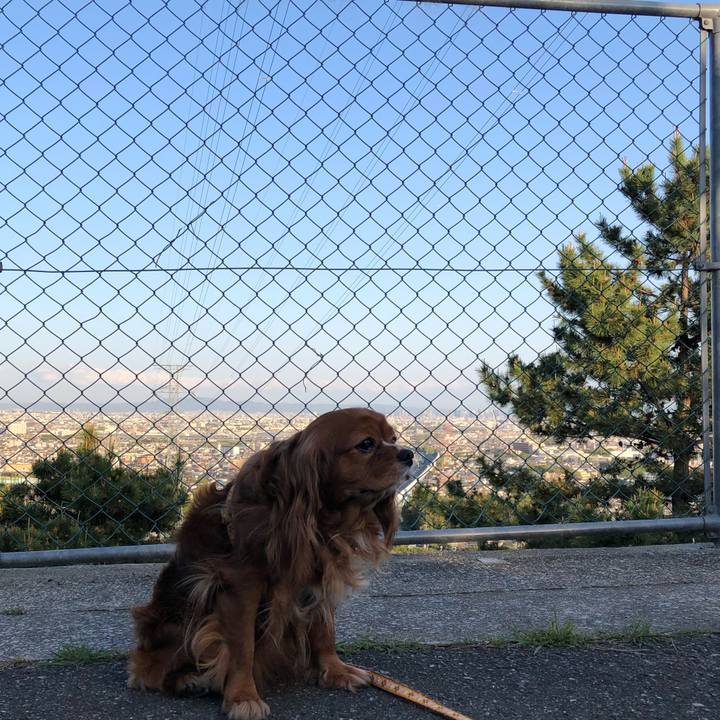 0df49bba 924d 4cad 96ff ca91b30fffee 1618136411205