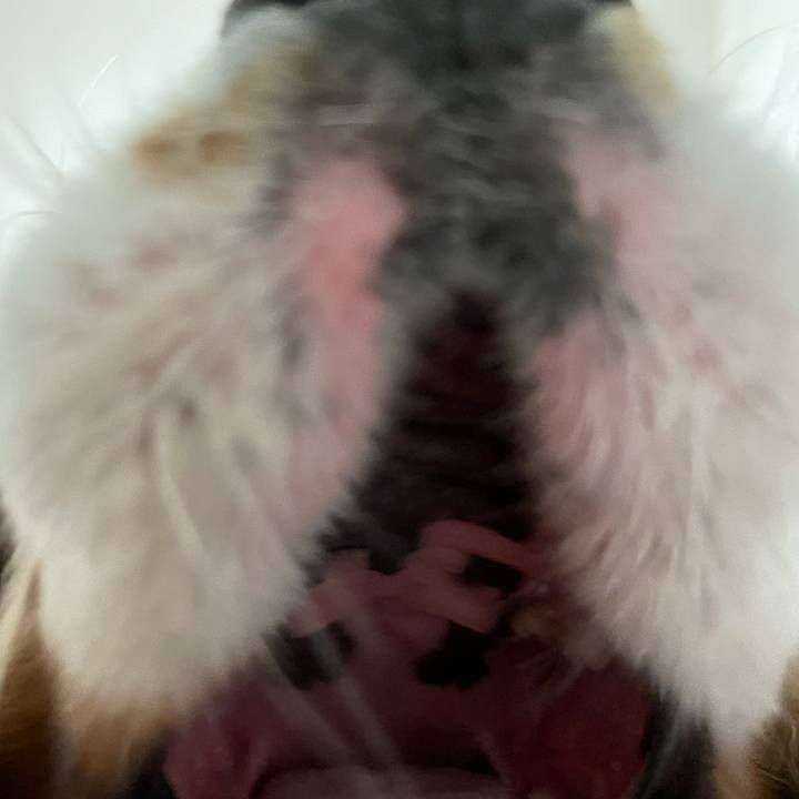 0df4ac9a 5bd7 451d a1e1 c4c779107fc1 1623503132953