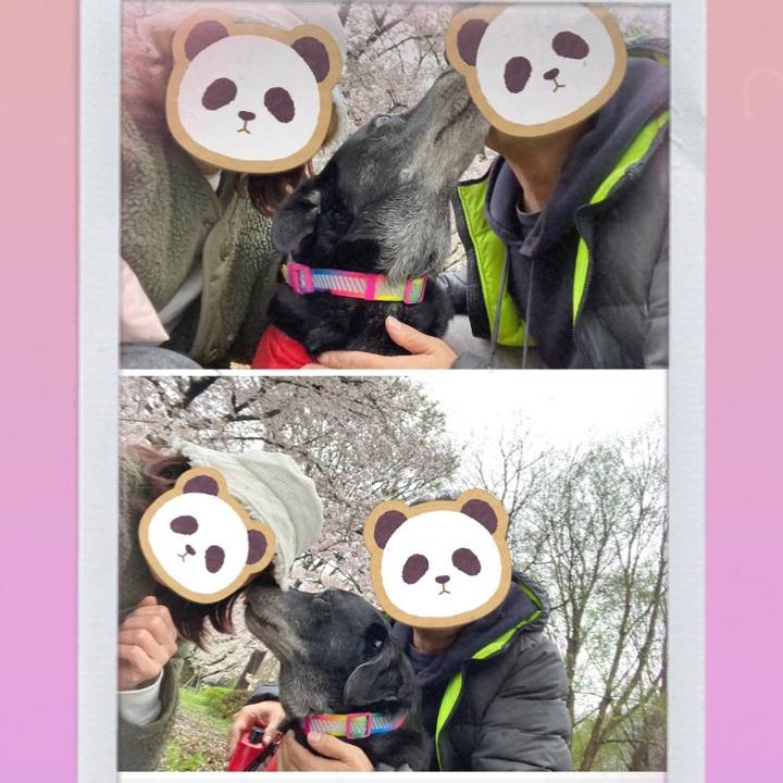 0df4ae1d a8f3 4d8e 9bb9 b3a6a4c00889 1679733656402