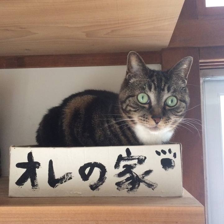 0df4c3b6 692a 47f4 8d23 1dd3656a3a54 1559432613424