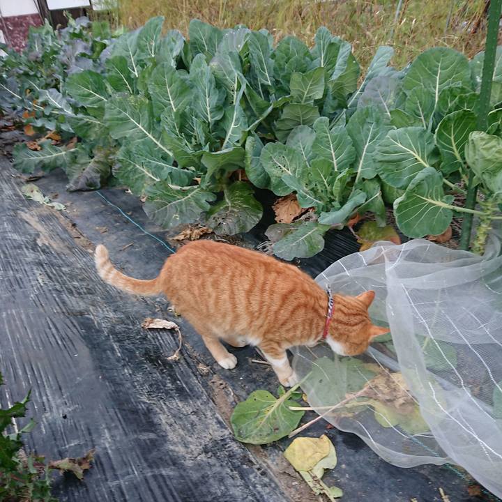 0df4d976 666c 4a8b 90a6 f16b4243f3e8 1573285638790