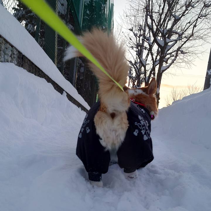 0df512b2 d31f 4f24 a99d 7ec1456ab975 1767940082409