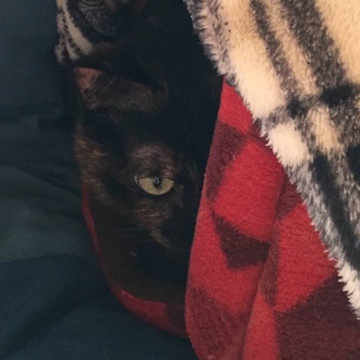 0df51c34 a62d 4ecb b61b 23c79d00a1dc 1642660882916