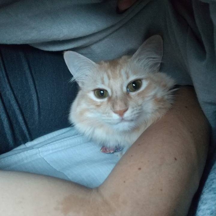 0df550cd 6d9d 4a1d a035 31c33c728cc3 1637716120245