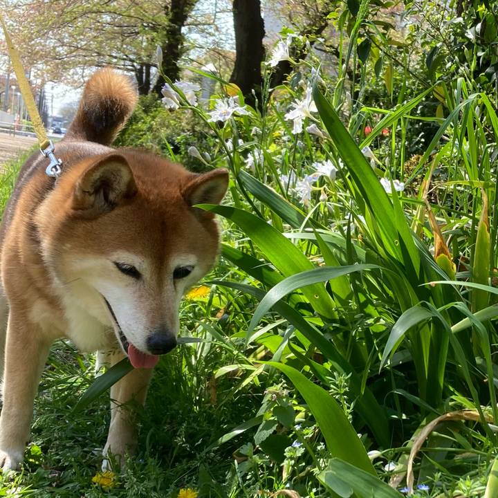 0df550e7 e441 48ec a77d 0e0e1ce9d1ab 1649559709168