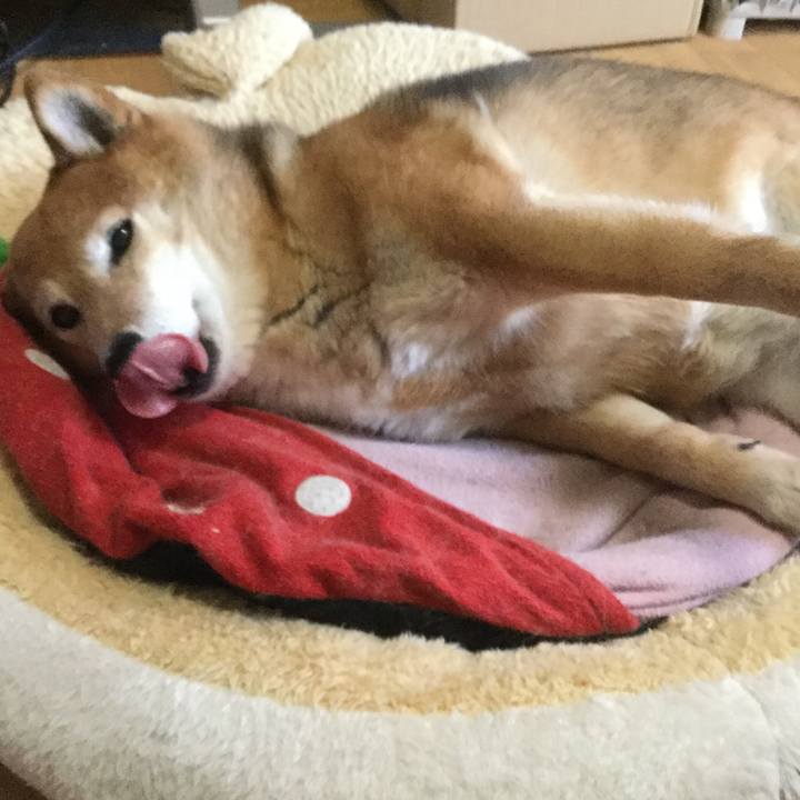 0df55671 630d 4315 a8df ff07536a8720 1587266659048