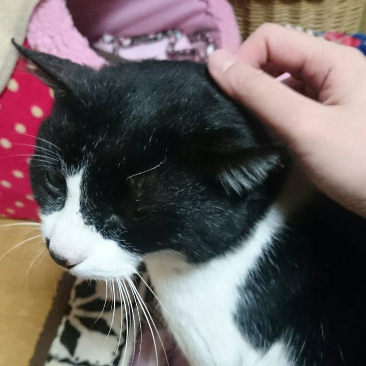 0df564b2 d6a3 40b3 b9a1 f6b3f670cd80 1519348634896