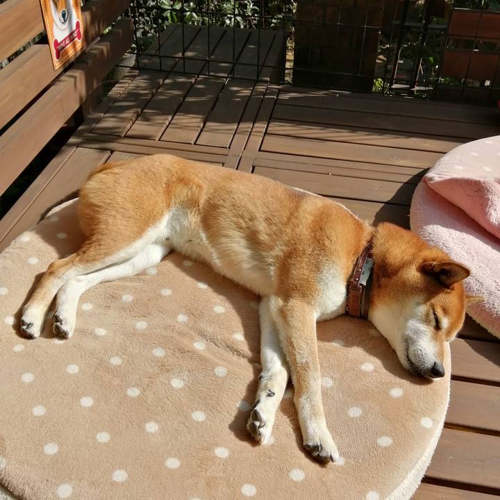 0df581d9 bd55 42ca 9a59 514aefd091c2 1649483478009