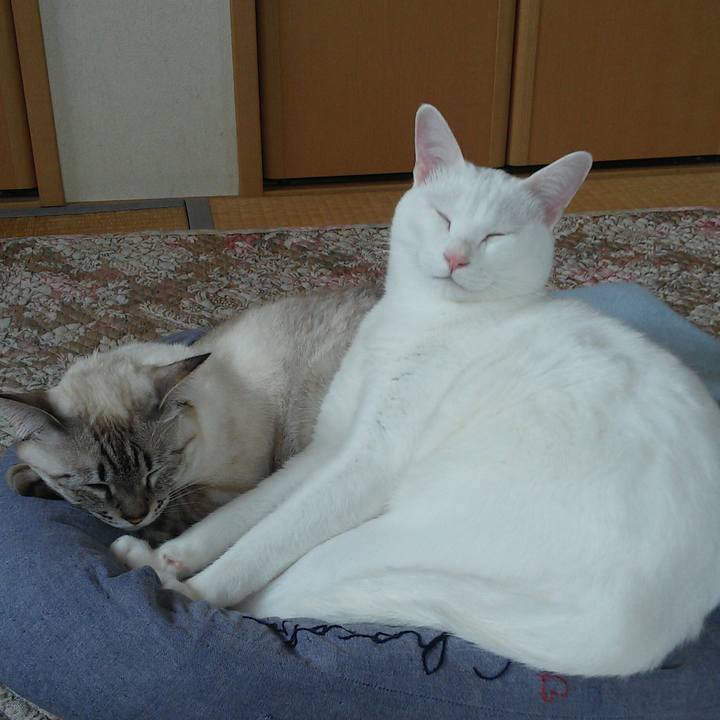 0df5cf4c 1802 4da0 93f6 10d24a1318f2 1509771750854