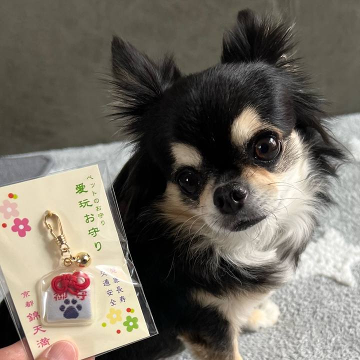 0df5d766 1507 441d ad8e 3be2cdf2756e 1725711098912