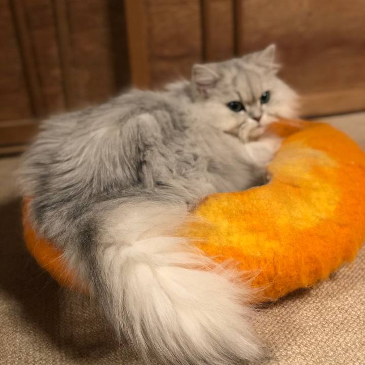 0df5da21 461c 4057 a719 ad211acb4e9c 1554206967410