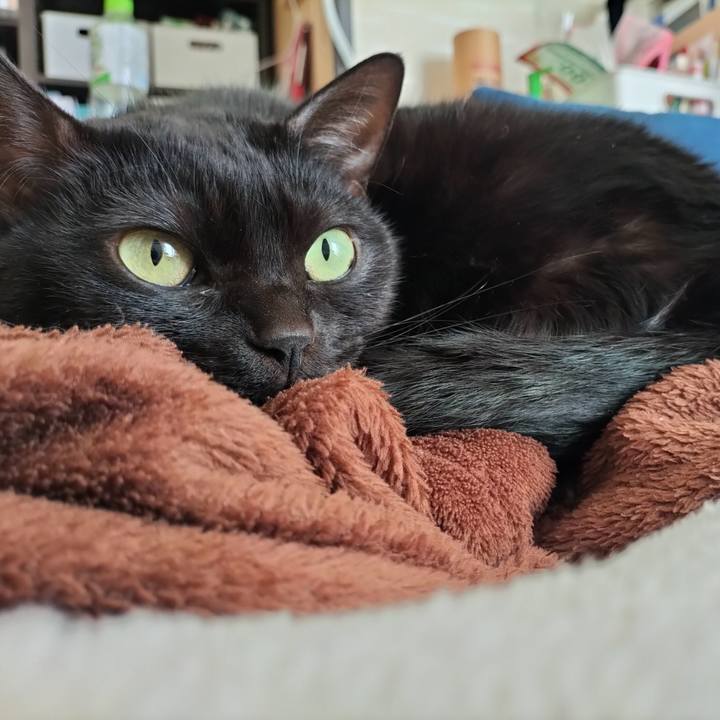 0df5f299 f160 496b 90d0 16c68a7ea296 1640477554932