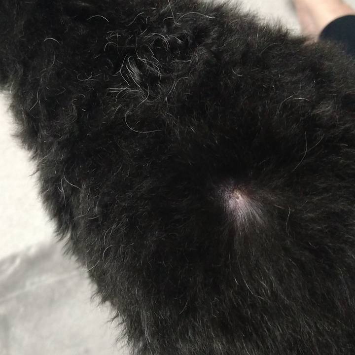 0df626ff d9b6 4196 b22a 846e7a92164f 1669460647289