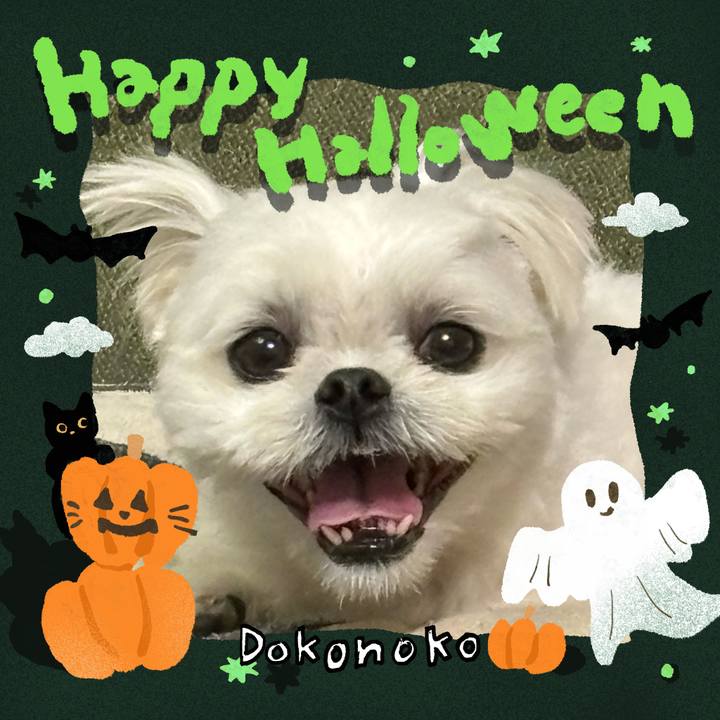 0df62bac 9e74 4a7d 88b4 71ab8c7afa3c 1730327409433