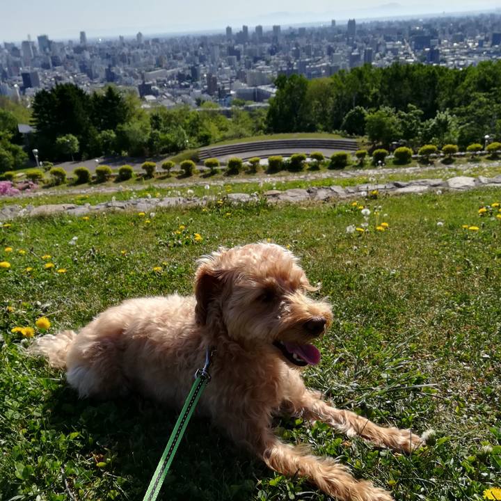 0df630fe 9798 47dd 8c39 b06d084e9ecb 1558742773768