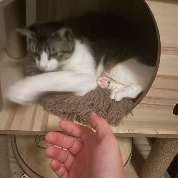 0df64014 90a1 4b80 a717 58caeca1d77c 1745163299393