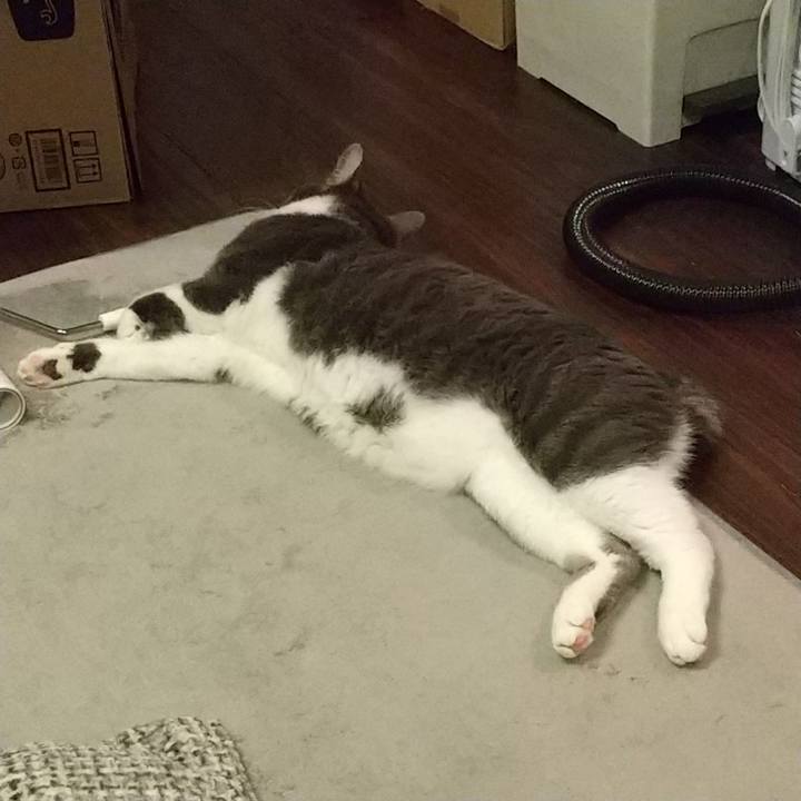 0df654c9 3cb2 4f1b b346 b34ed506d3d6 1614074883925