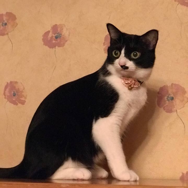 0df66ca9 d3df 4087 adac 513caa95593a 1540741328286