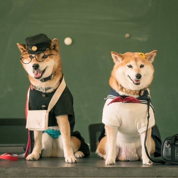 0df68172 ead1 467f b6a0 f3e97c1b5689 1715181484193