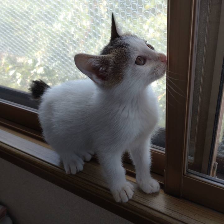 0df68881 dd49 4aa4 8715 326b076af02e 1632660475134