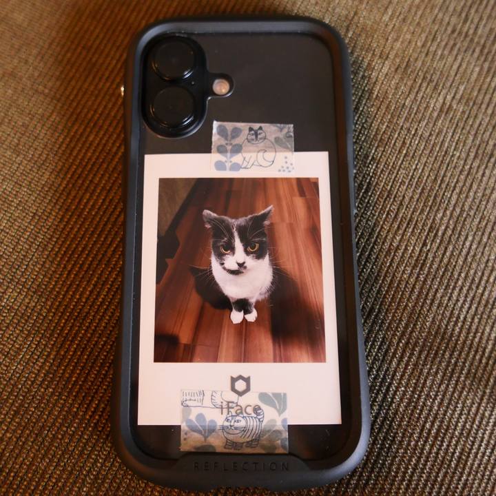 0df6a14f 3497 4cd1 92fc ea520d5821ae 1761360235933