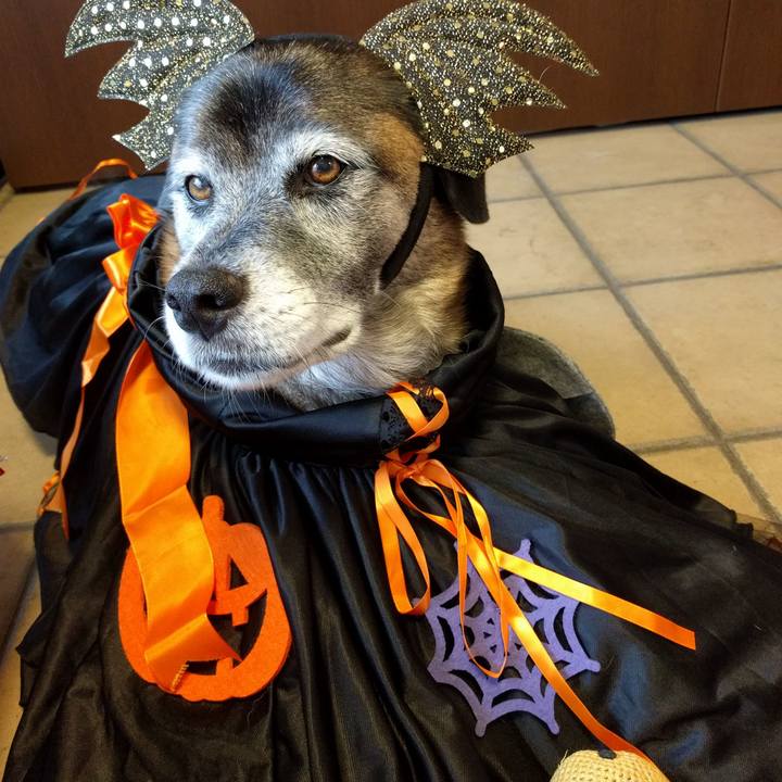 0df6a2aa cf49 4ef9 855b 186eb67a13bf 1604107847709