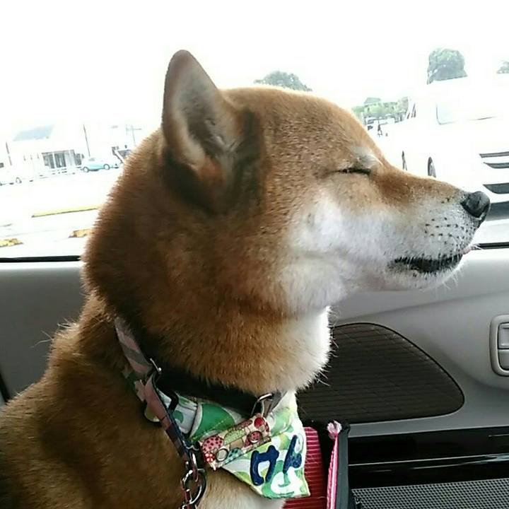 0df6e489 af6e 410e b18e ec7f30804ad8 1561698009612